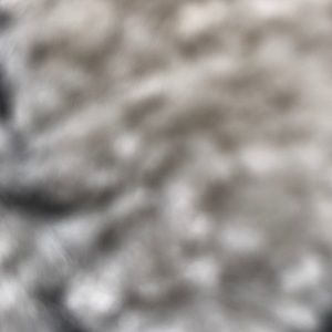 Meet your Posher, Ravi